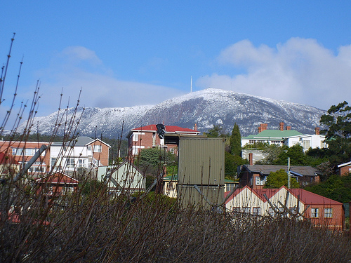 Mt. Wellington Guided Morning Tour from Hobart