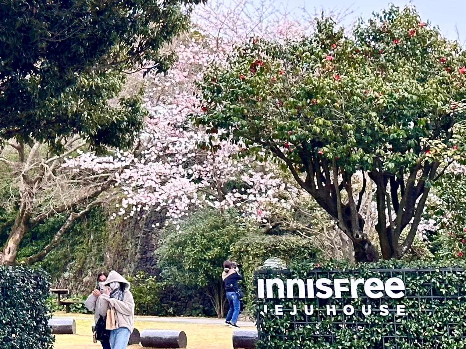 在悅詩風吟濟州之家探索獨家護膚產品，同時沉浸在韓流美妝的世界中。