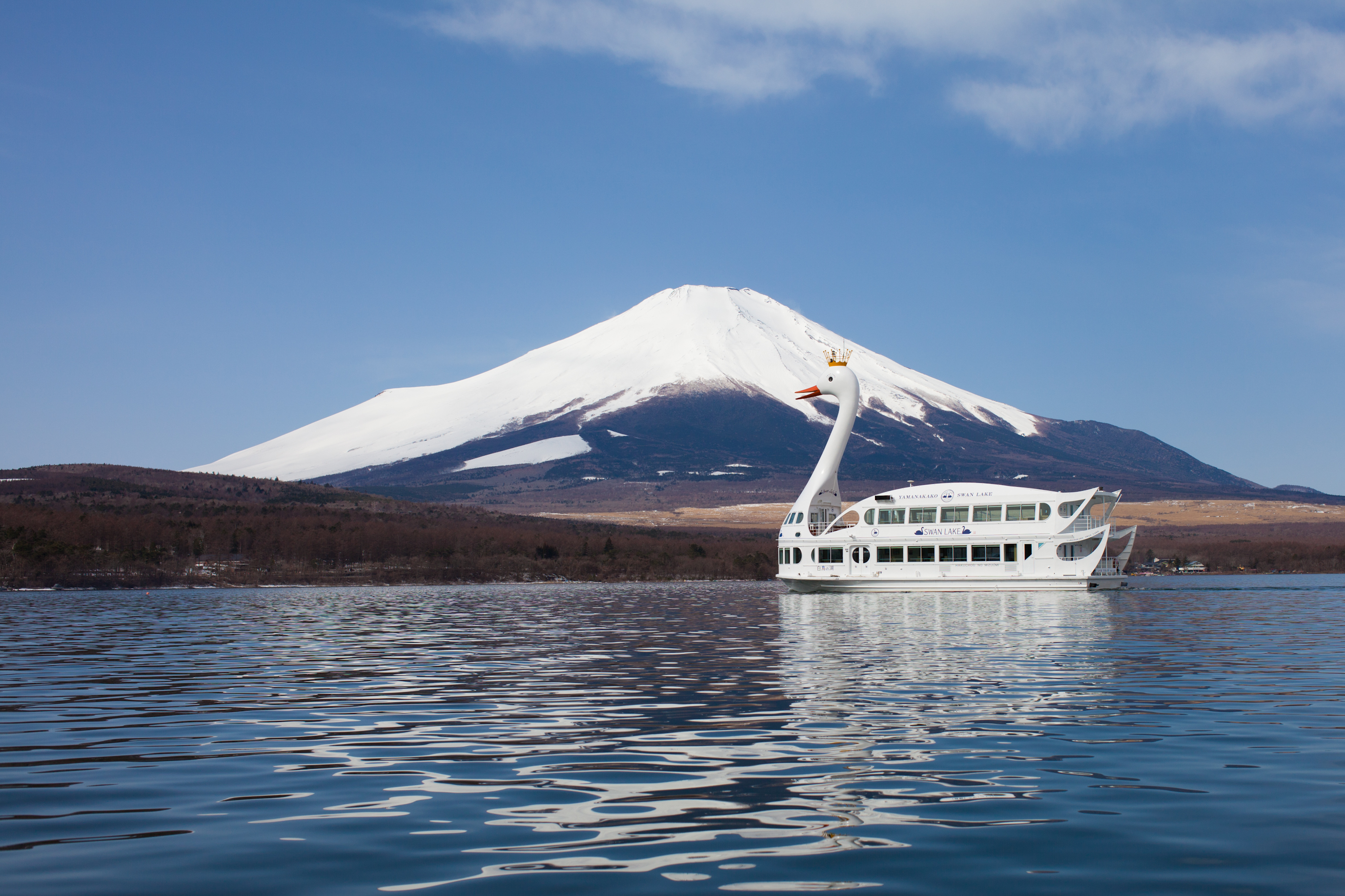 【中文／英語導遊】東京站出發富士山河口湖山中湖必玩一日遊