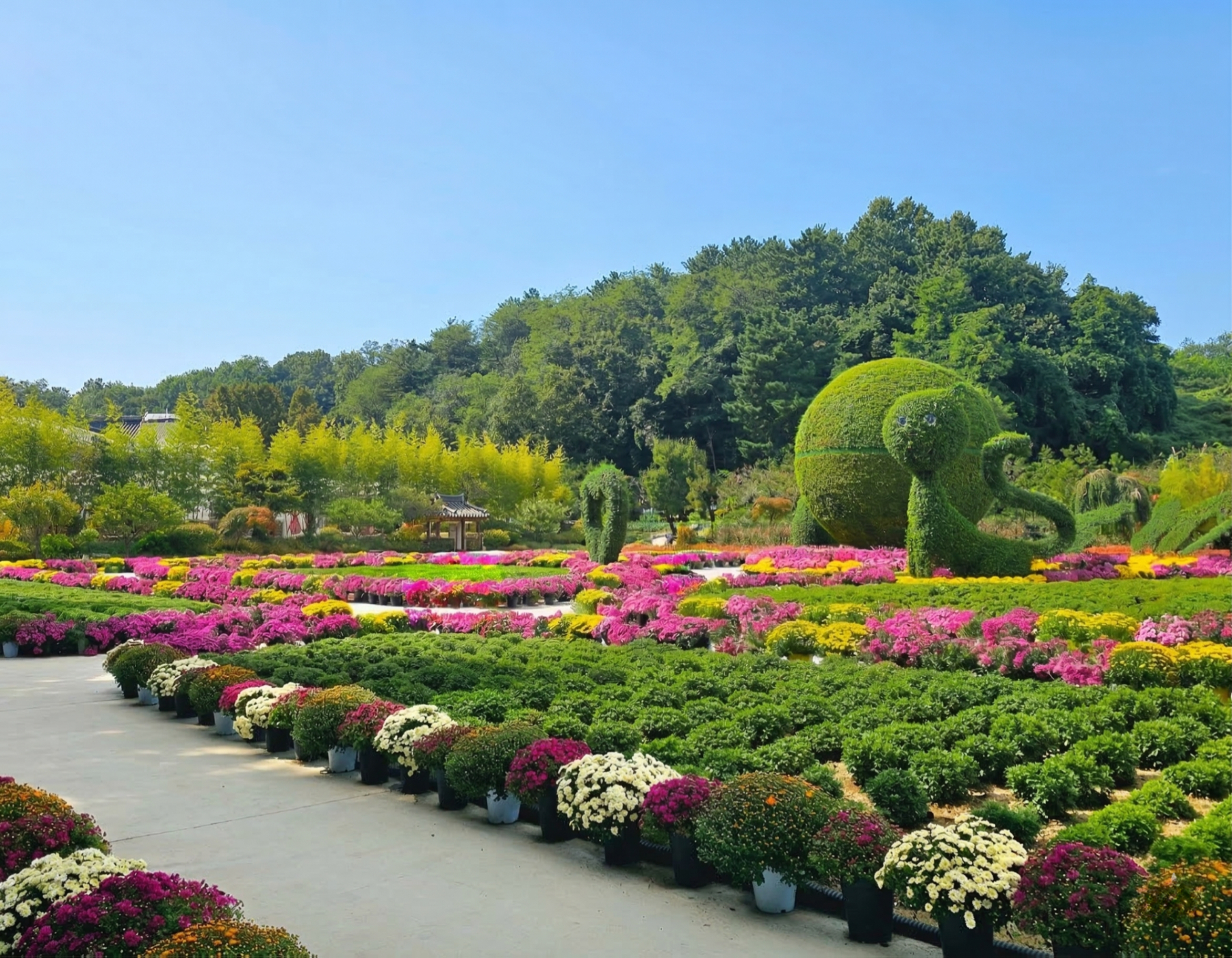 巨型恐龍雕塑迎接著您，進入孩子們的樂園！🦖 在這片紫菊花海綿延的山丘上，與家人一同享受刺激的冒險。一個充滿歡聲笑語、永不落幕的夢幻之地。