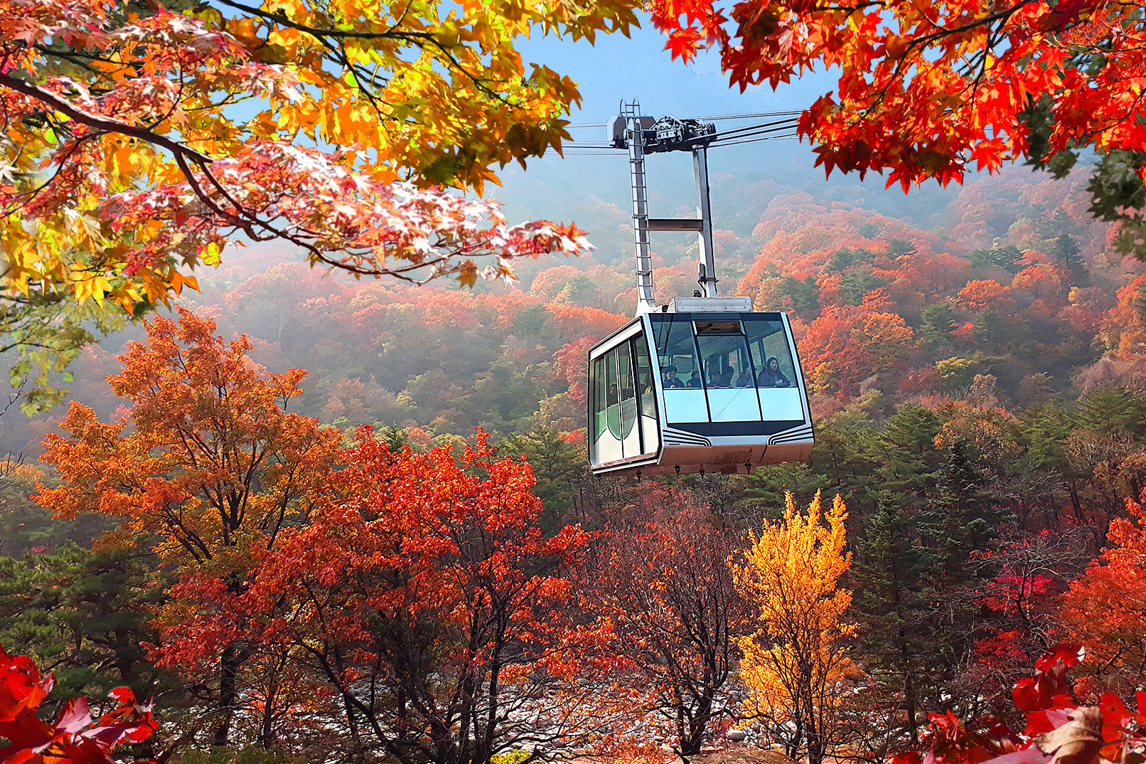 雪嶽山／纜車／草泥馬樂園／鐵道自行車／晨靜樹木園之旅