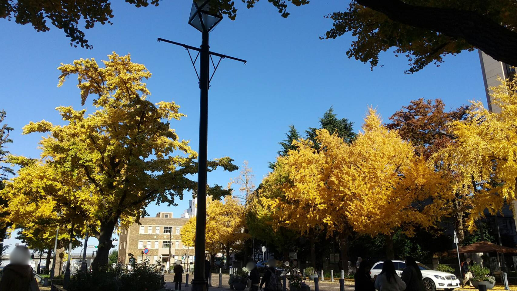 橫濱市區、紅磚倉庫、山下公園 & 唐人街一日遊