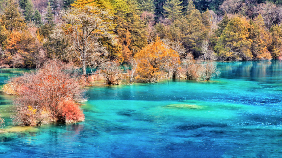 火花海：海拔2211m、長294m、寬232m、深16m、庫容45萬m3，因陽光斜射湖面波光粼粼，似火花閃爍而得名。海邊周圍野花盛開，團團簇簇，奼紫嫣紅，花上露珠，晶瑩剔透，閃閃發光，與海中火花相映成趣，韻味無窮。