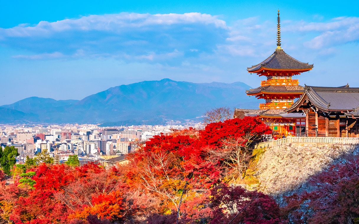 Nara Park, Fushimi Inari Shrine & Kiyomizu-dera Temple Full-Day Tour