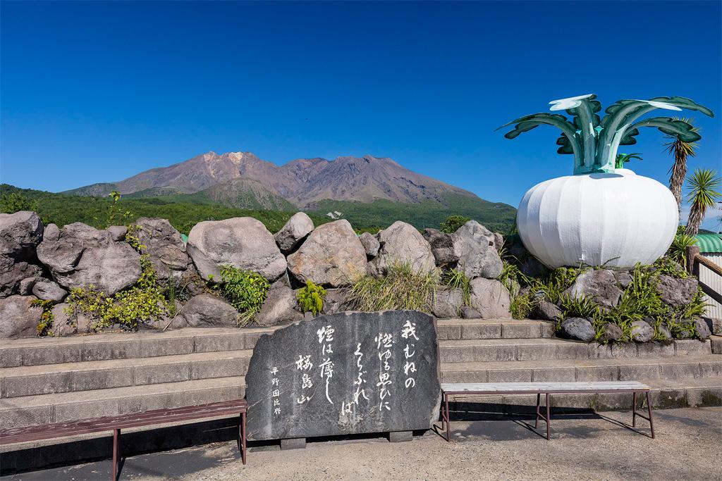 【九州碼頭包車】鹿兒島/宮崎碼頭專車包車一日遊｜行程自由搭配