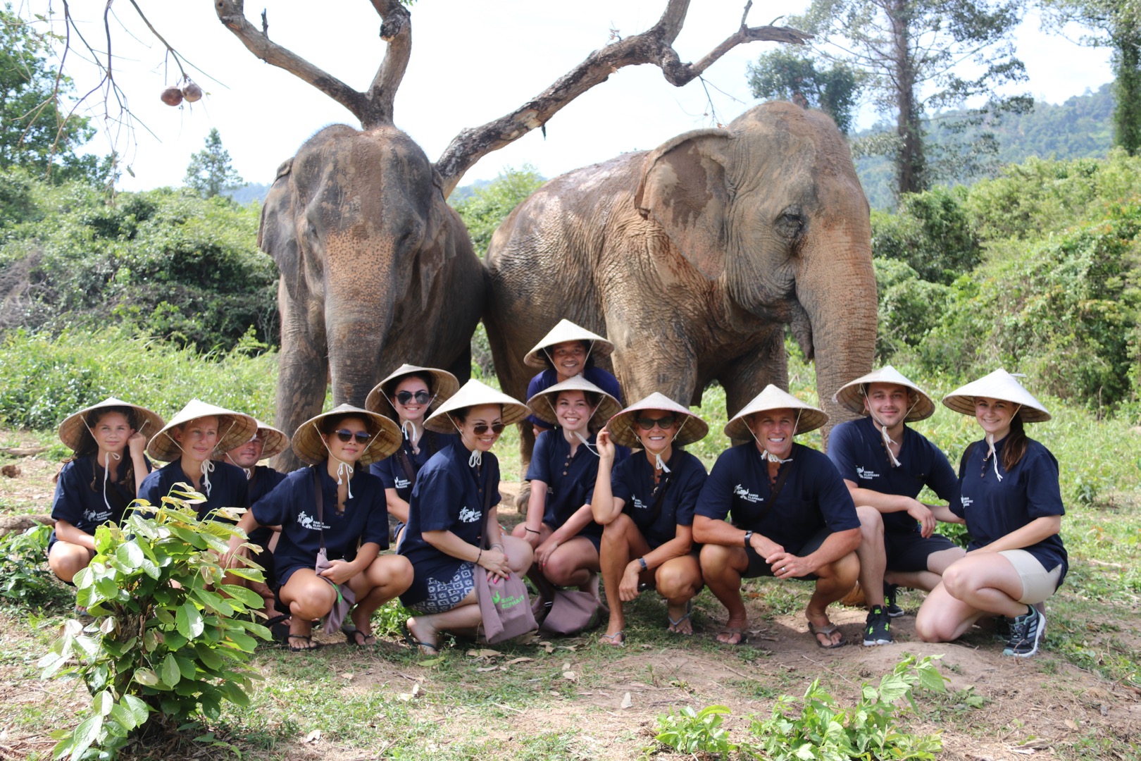 蘇美島大象照護半日遊