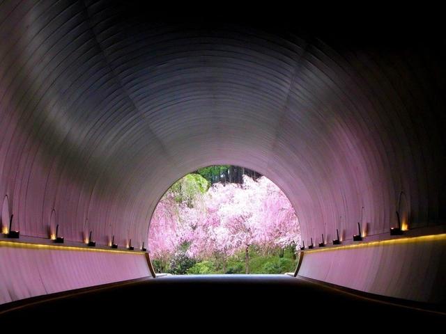 美秀美术馆＆旧竹林院＆琵琶湖白须神社一日游｜大阪／京都出发