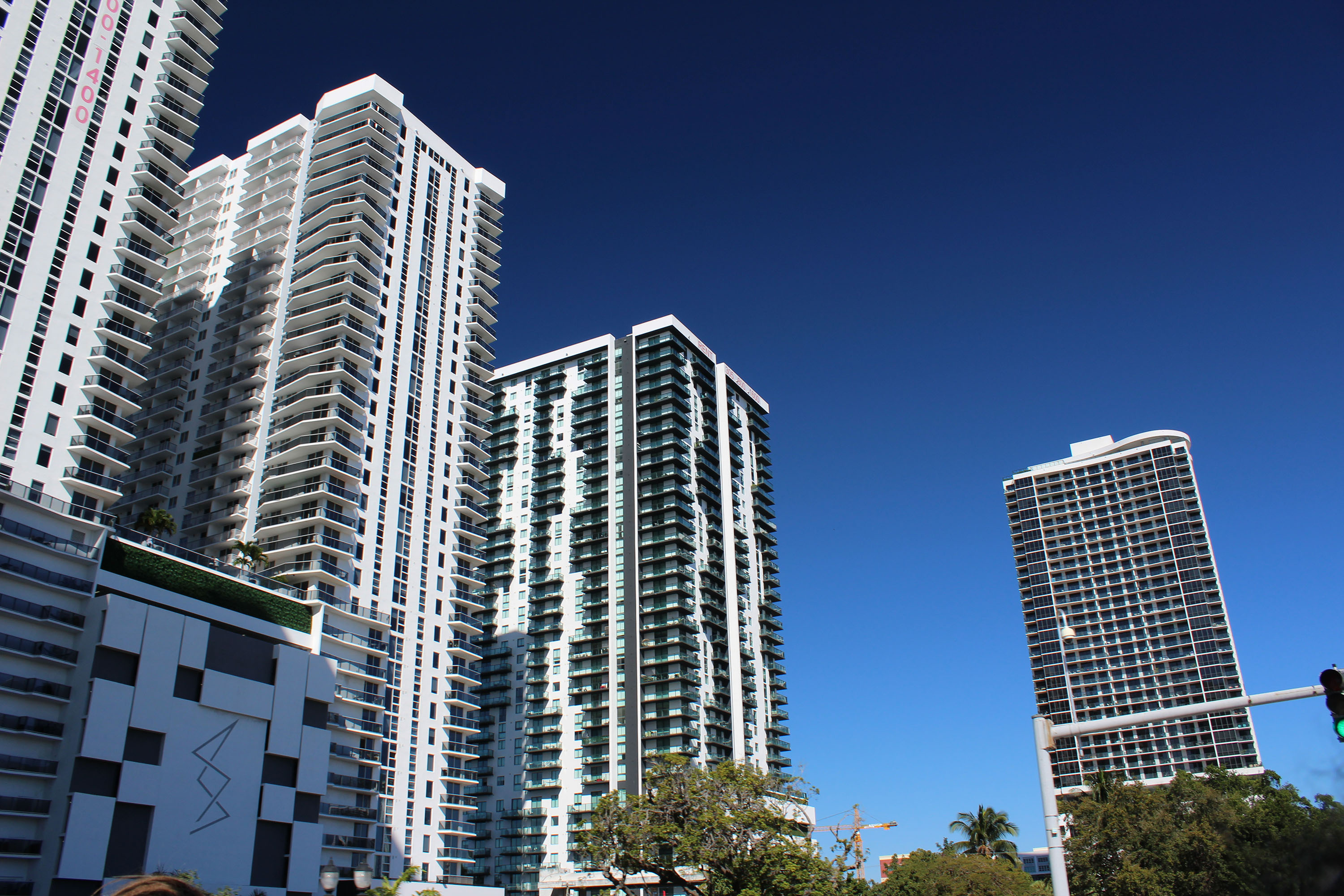 Miami Safari: All-in-1 Tour, Bus, Boat and Walking Best Discovery