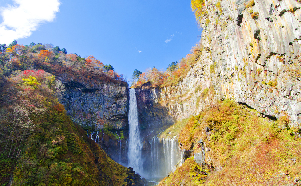 Tochigi and Nikko's secret mountain and water area｜Toshogu Shrine, Iroha Mountain Trail, Lake Chuzenji, and Kegon Falls Day Tour｜Depart from Tokyo/Shinjuku
