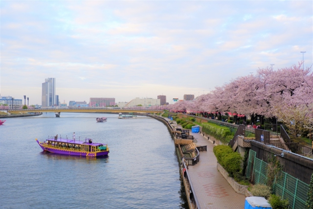 東京櫻花季網田屋形船午餐遊船方案