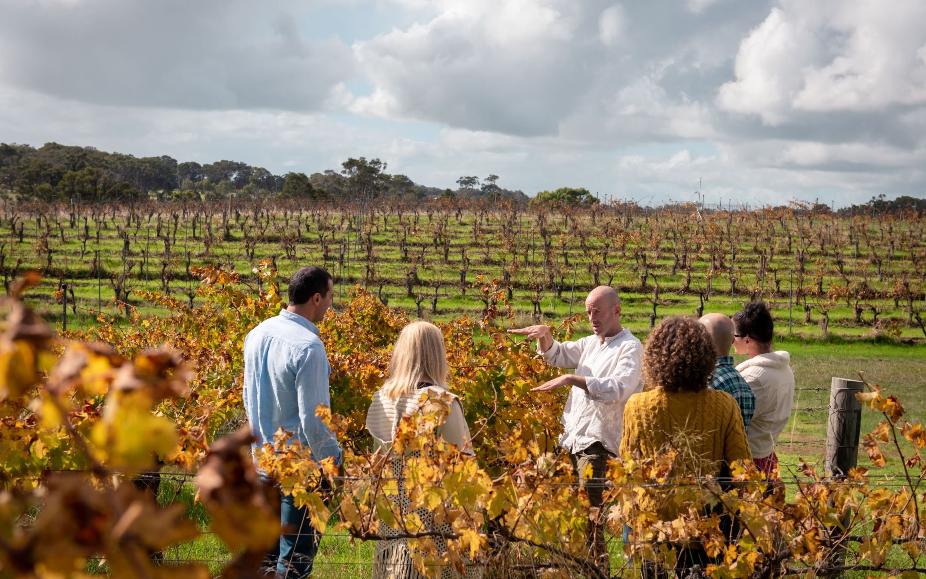 Hidden Gems Full-Day Wine Tour of Margaret River