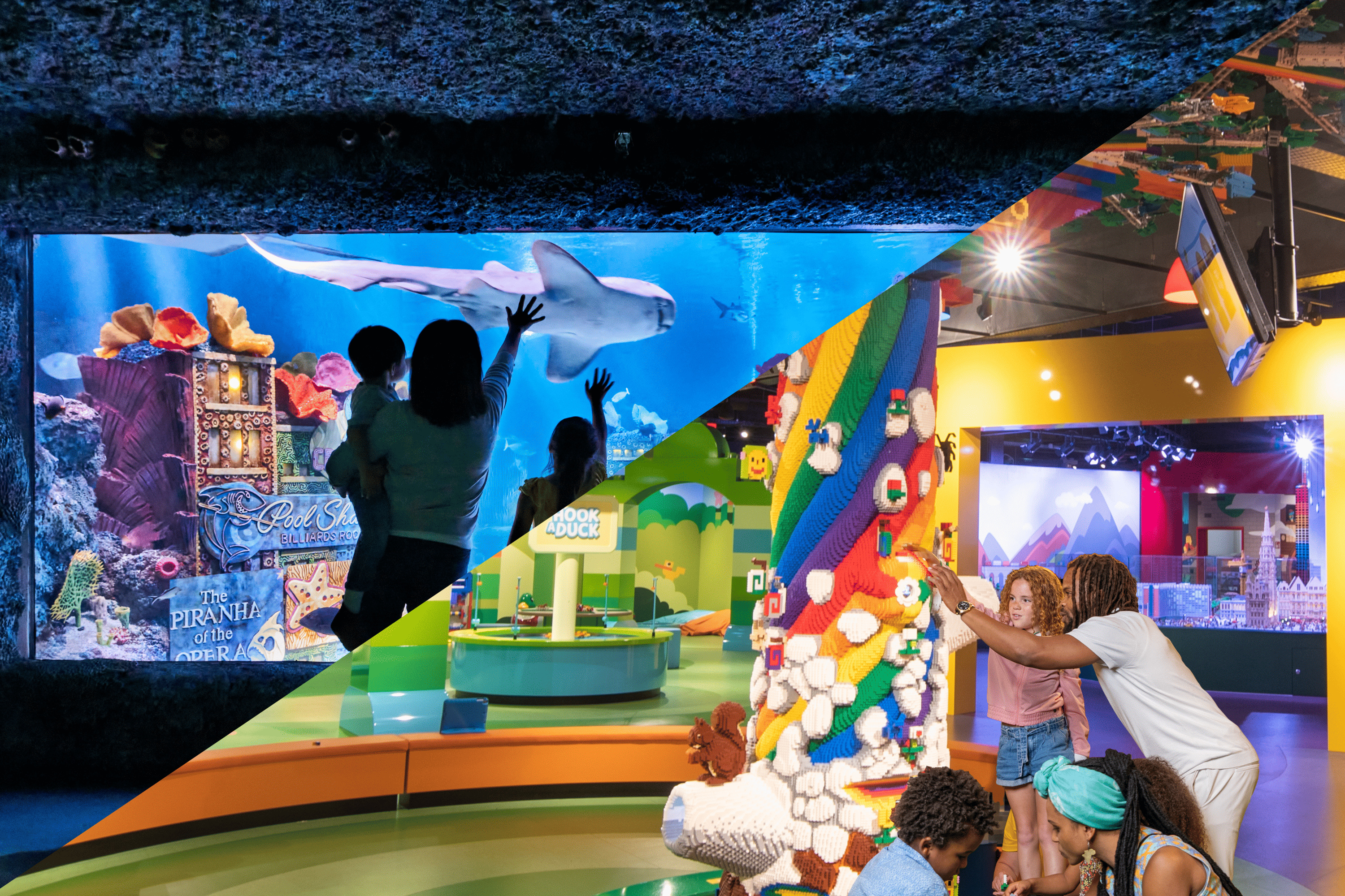紐澤西州美國夢購物中心 SEA LIFE® 水族館門票