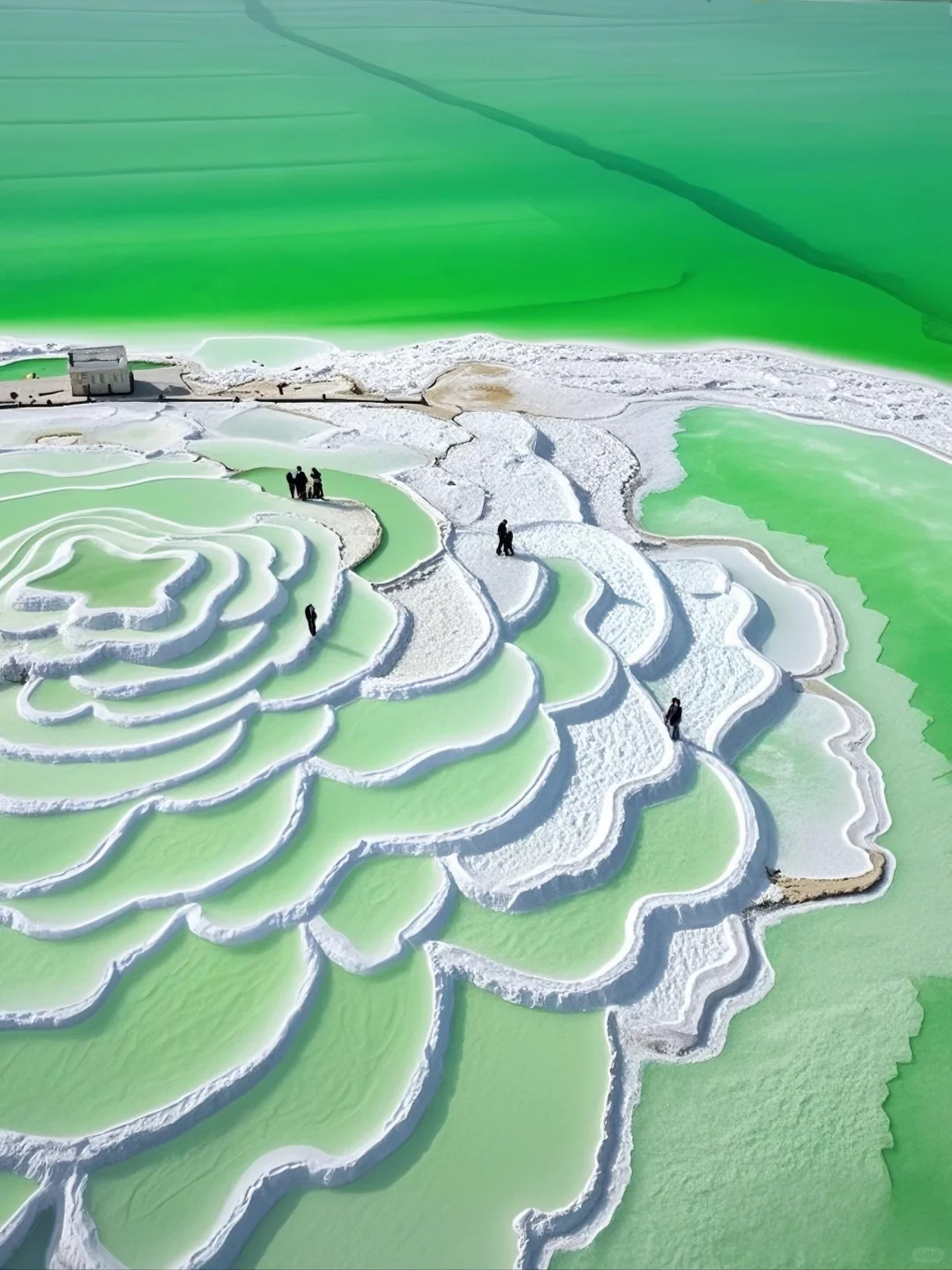 第六天,第一站我們將前往【察爾汗鹽湖】。踏入察爾汗鹽湖,你會被眼前的景象所震撼。無邊無際的鹽田延伸至天際,閃爍著耀眼的光芒,宛如一片銀色的海洋。在這裡,你可以漫步在鹽田上,感受鹽的質感和細膩,彷彿置身於一個夢幻的世界。同時察爾汗也是亞洲第一大鹽湖,整個可玩性非常強,非常適合拍照出片。 第六天,第一站我們將前往【察爾汗鹽湖】。踏入察爾汗鹽湖,你會被眼前的景象所震撼。無邊無際的鹽田延伸至天際,閃爍著耀眼的光芒,宛如一片銀色的海洋。在這裡,你可以漫步在鹽田上,感受鹽的質感和細膩,彷彿置身於一個夢幻的世界。同時察爾汗也是亞洲第一大鹽湖,整個可玩性非常強,非常適合拍照出片。