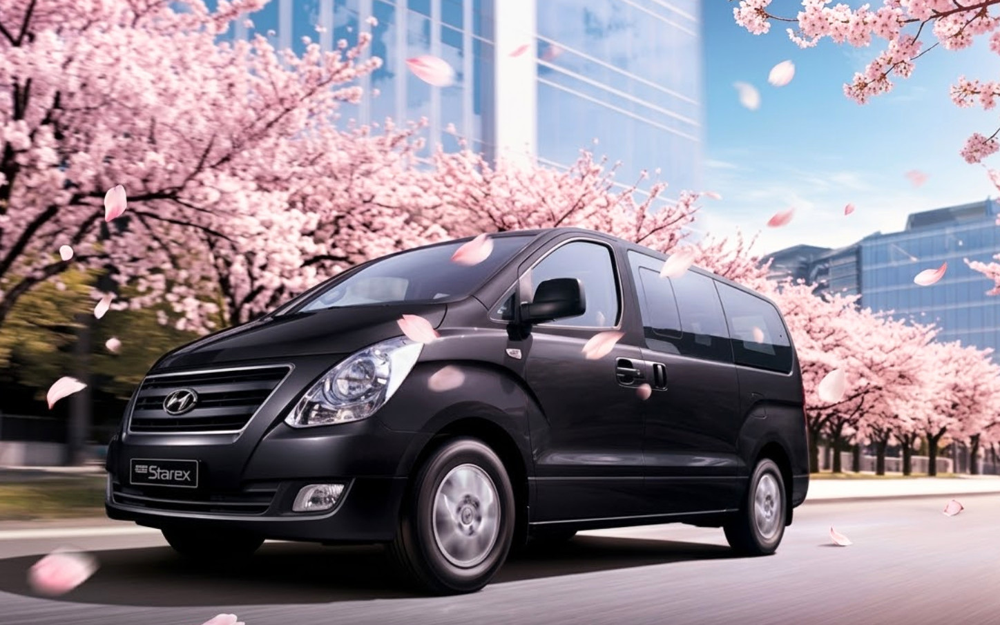 Private K-Drama Tour: Seoul Private Car Charter to Nami / Alpaca World / Sokcho / Gangneung
