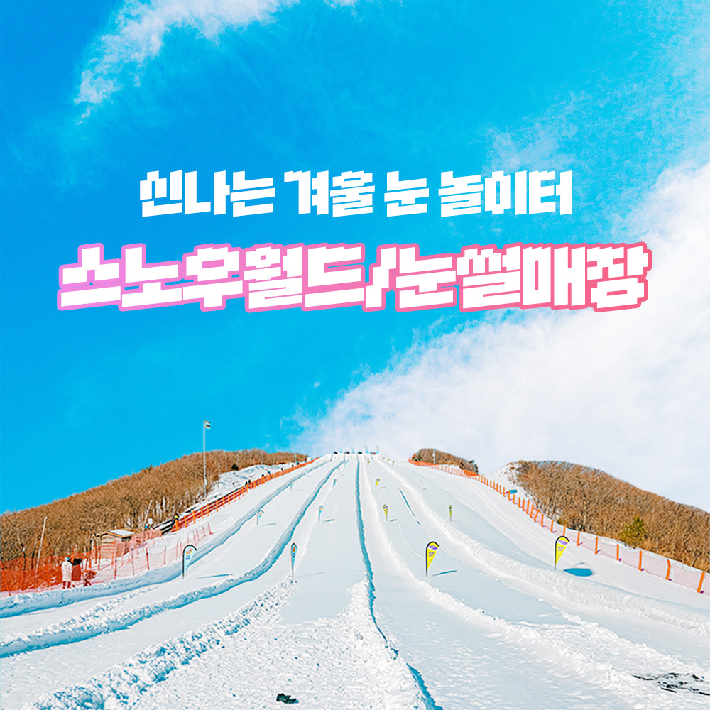 강원 하이원 리조트 스노우월드 & 눈썰매장 이용권