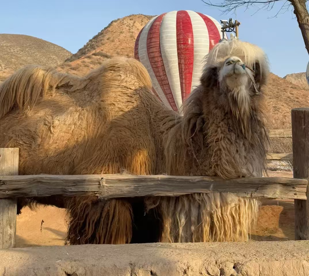 水墨丹霞景區 水墨丹霞景區