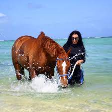 Mauritius Horse Riding Adventure with hotel pick up