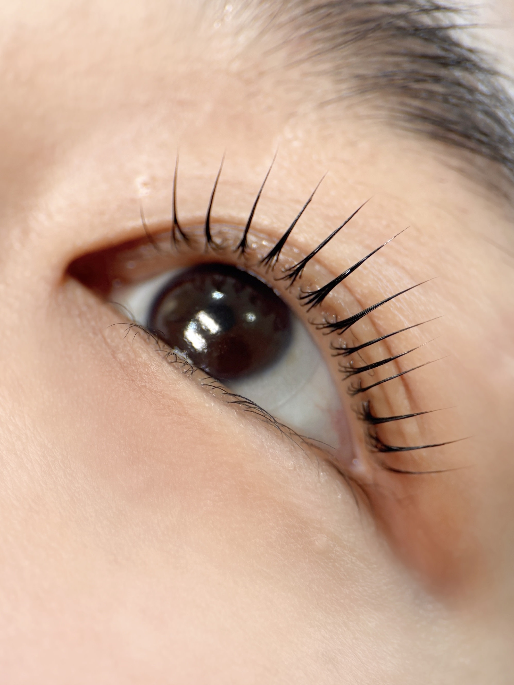 Gyeongju K-Beauty Premium Lash Lift