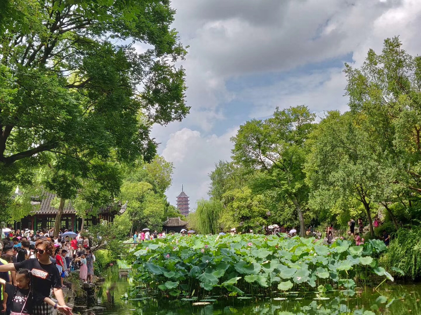 拙政園-被譽為中國四大名園 拙政園-被譽為中國四大名園