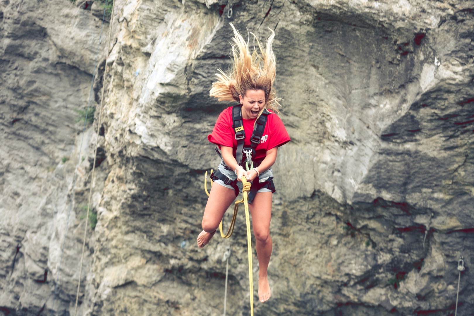 Canyon Swing Experience in Grindelwald from Interlaken