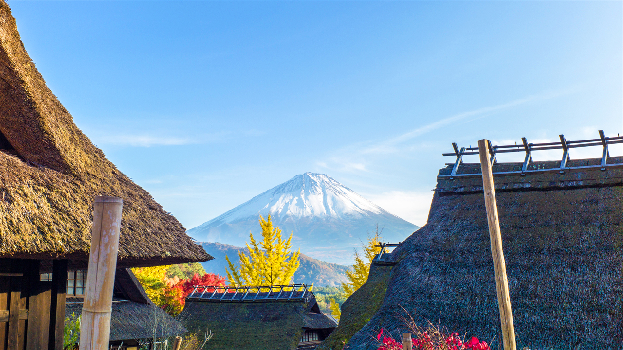 富士山探索之旅-新倉山淺間公園·天梯小鎮·忍野八海·河口湖大石公園·西湖療愈里根場一日遊