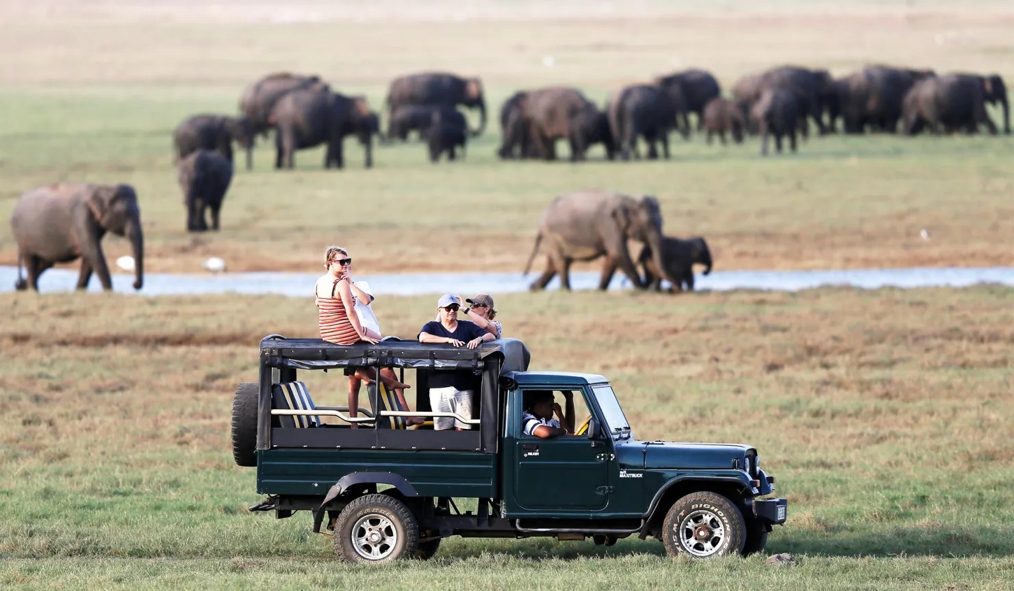 Sri Lanka 5 Days Tour with 4 Star Hotels and Private Transportation