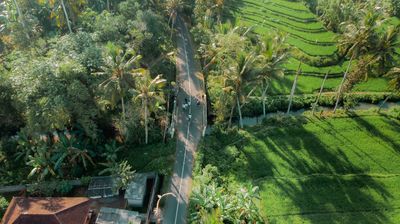 在鄉村地區開始徒步旅行，呼吸新鮮空氣