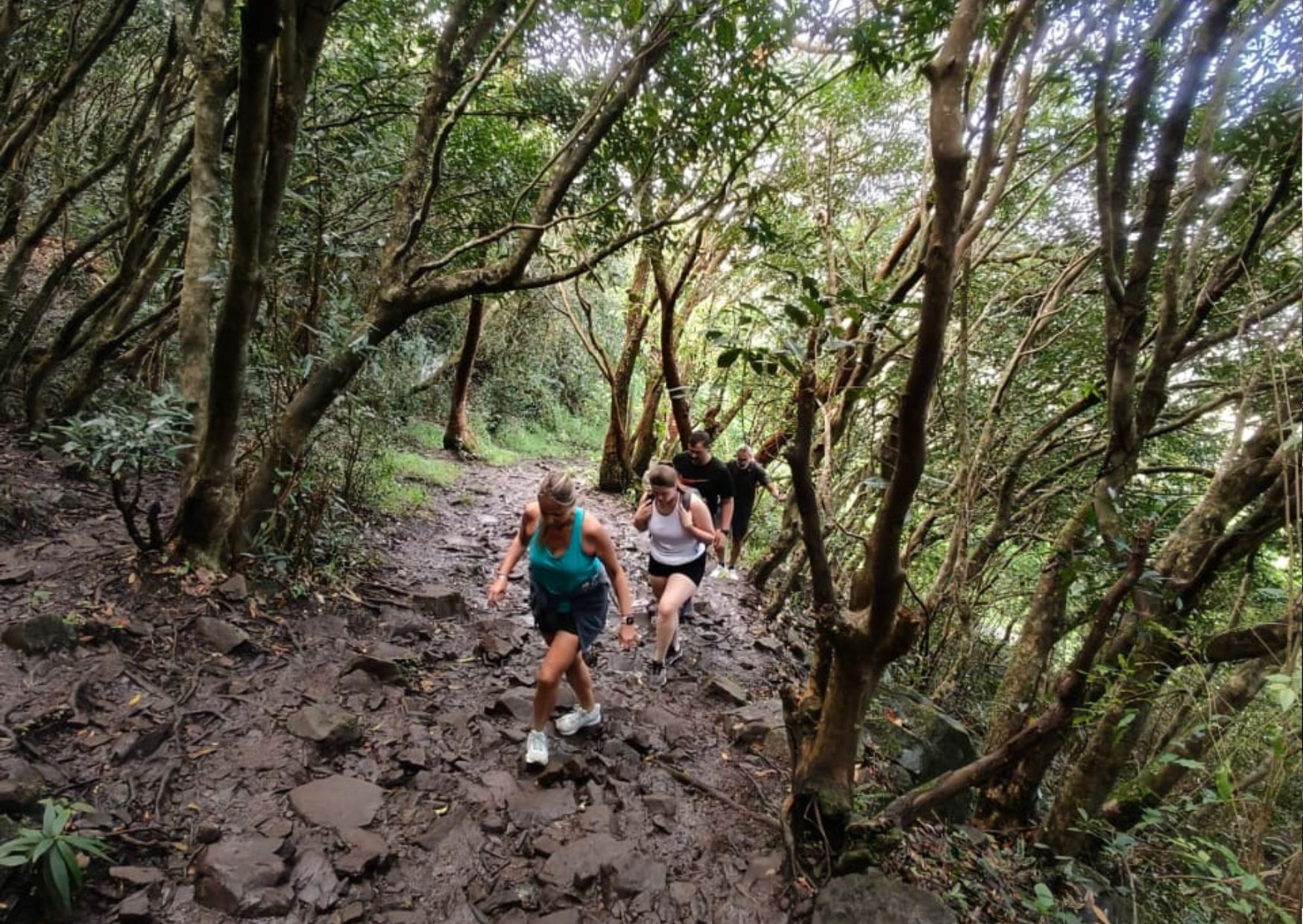 Mauritius: Le Pouce Guided Hiking Experience with a local