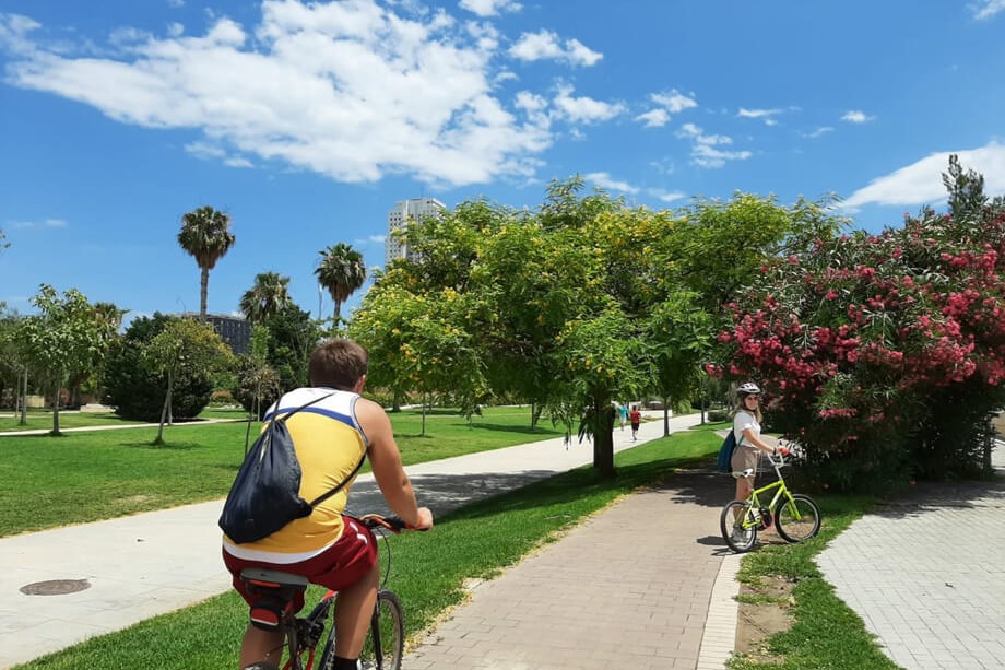 Bike Tour in Valencia