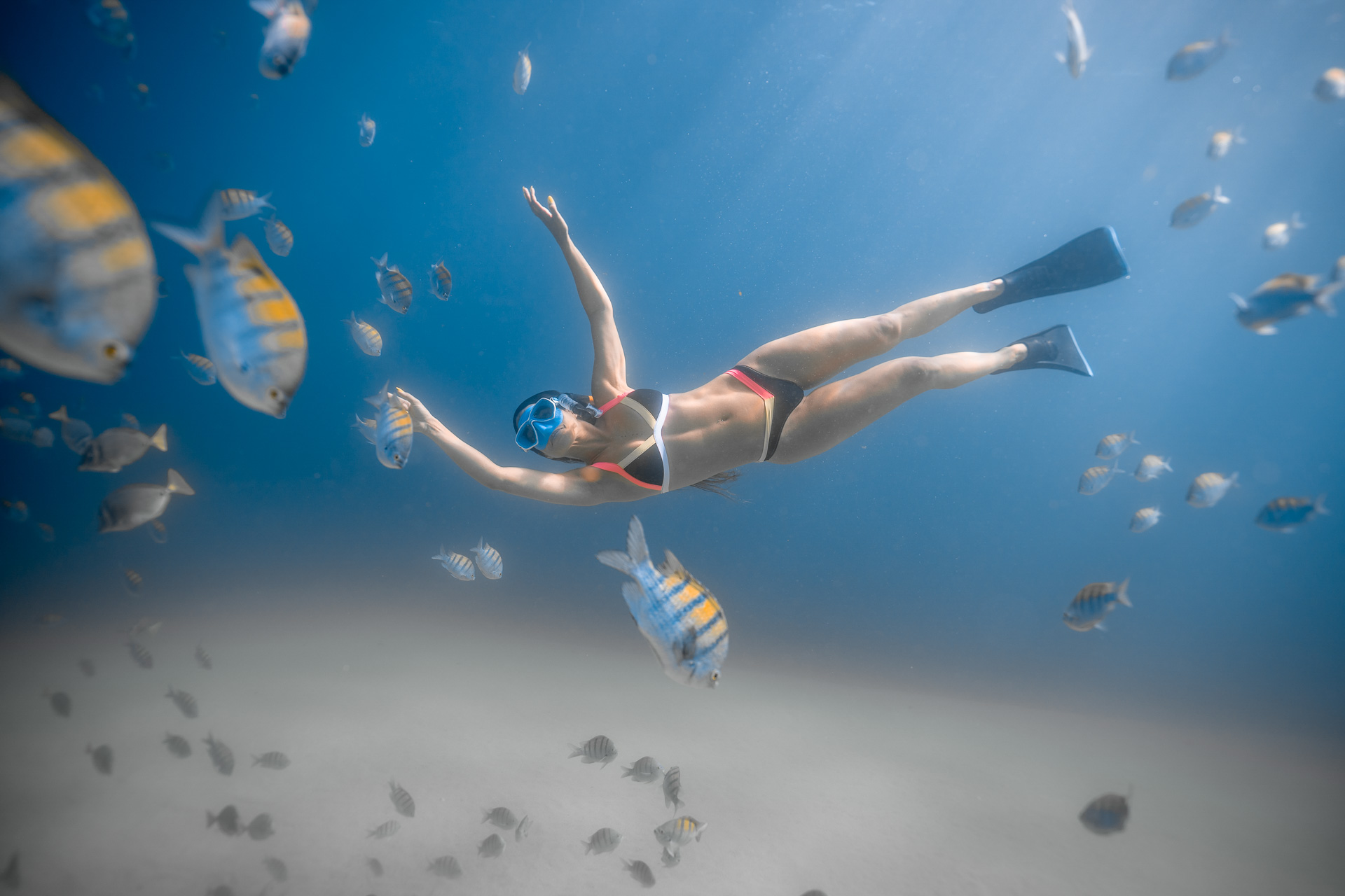 Private Los Cabos snorkeling tour to Chileno bay and Santa Maria cov