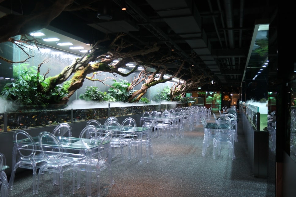 Ilsan Aqua Garden&Begonia&Gapyeong SeenB Zoo&Gapyeong Cruise Tour
