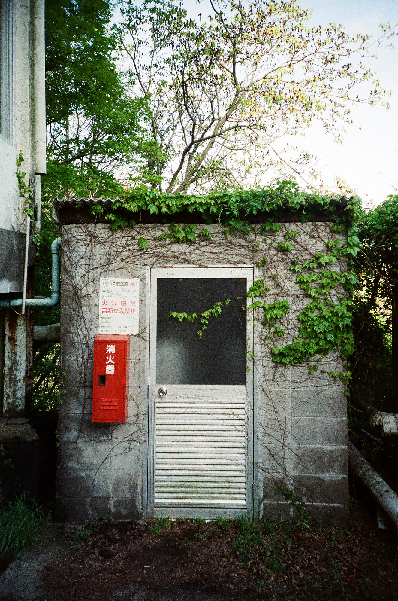 Find Your Direction (Practical Photography Experience) | Wan Chai