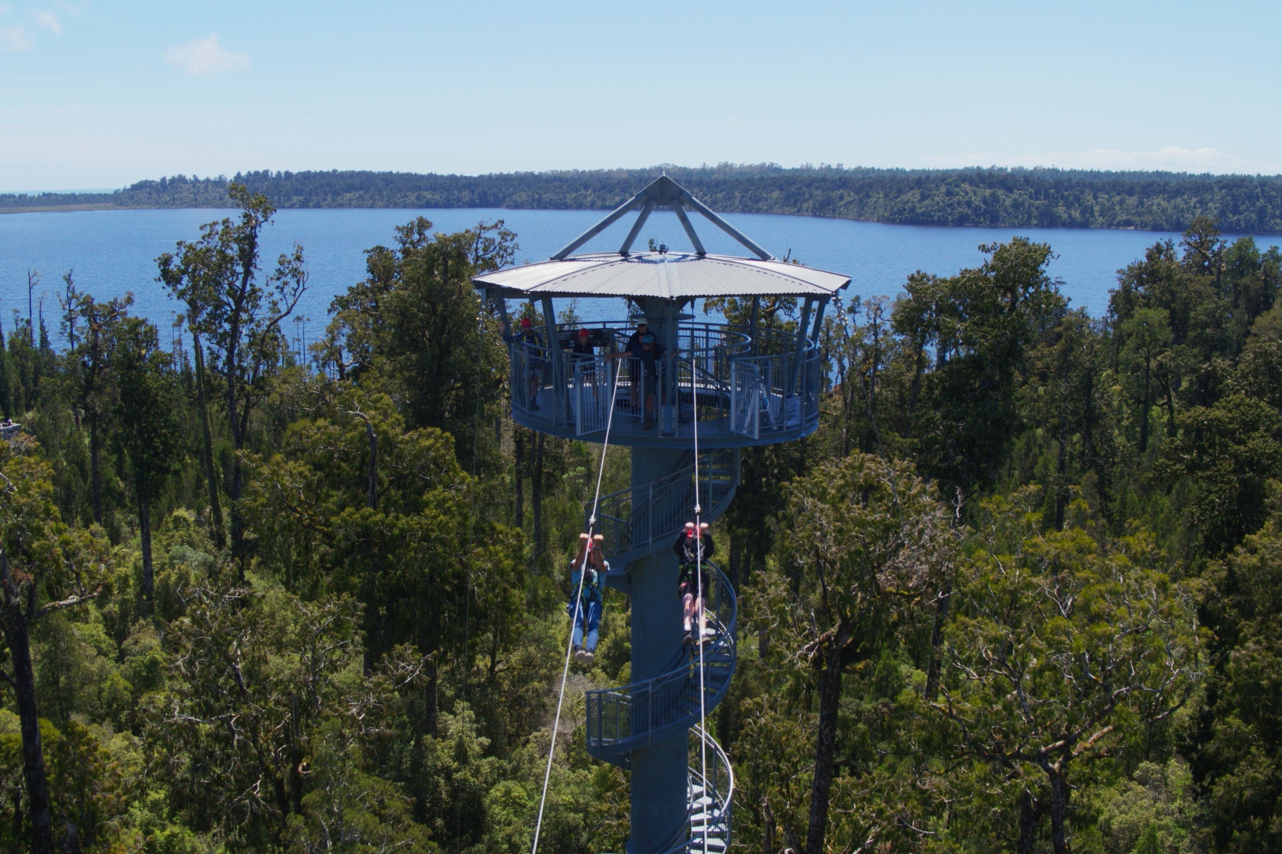 Zipline adventure West Coast