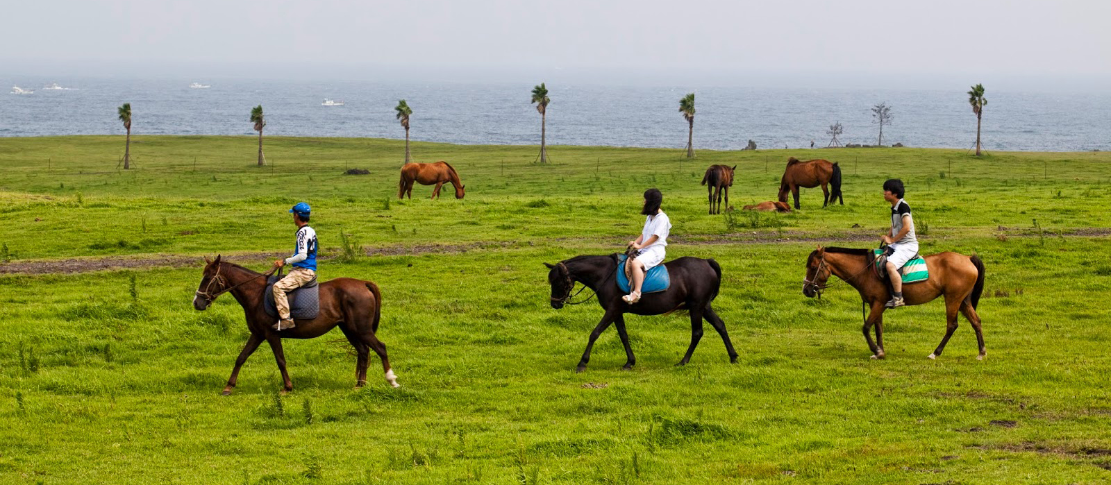 Meong-e Horseback Riding