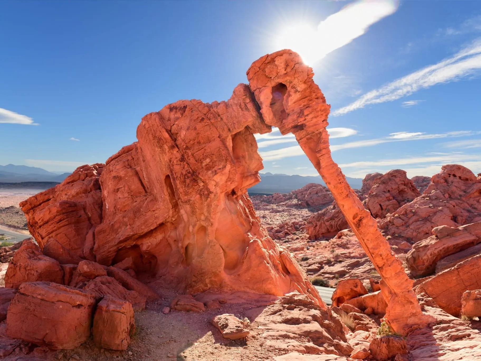 Capture photos of Elephant Rock, a natural arch resembling an elephant with a raised trunk