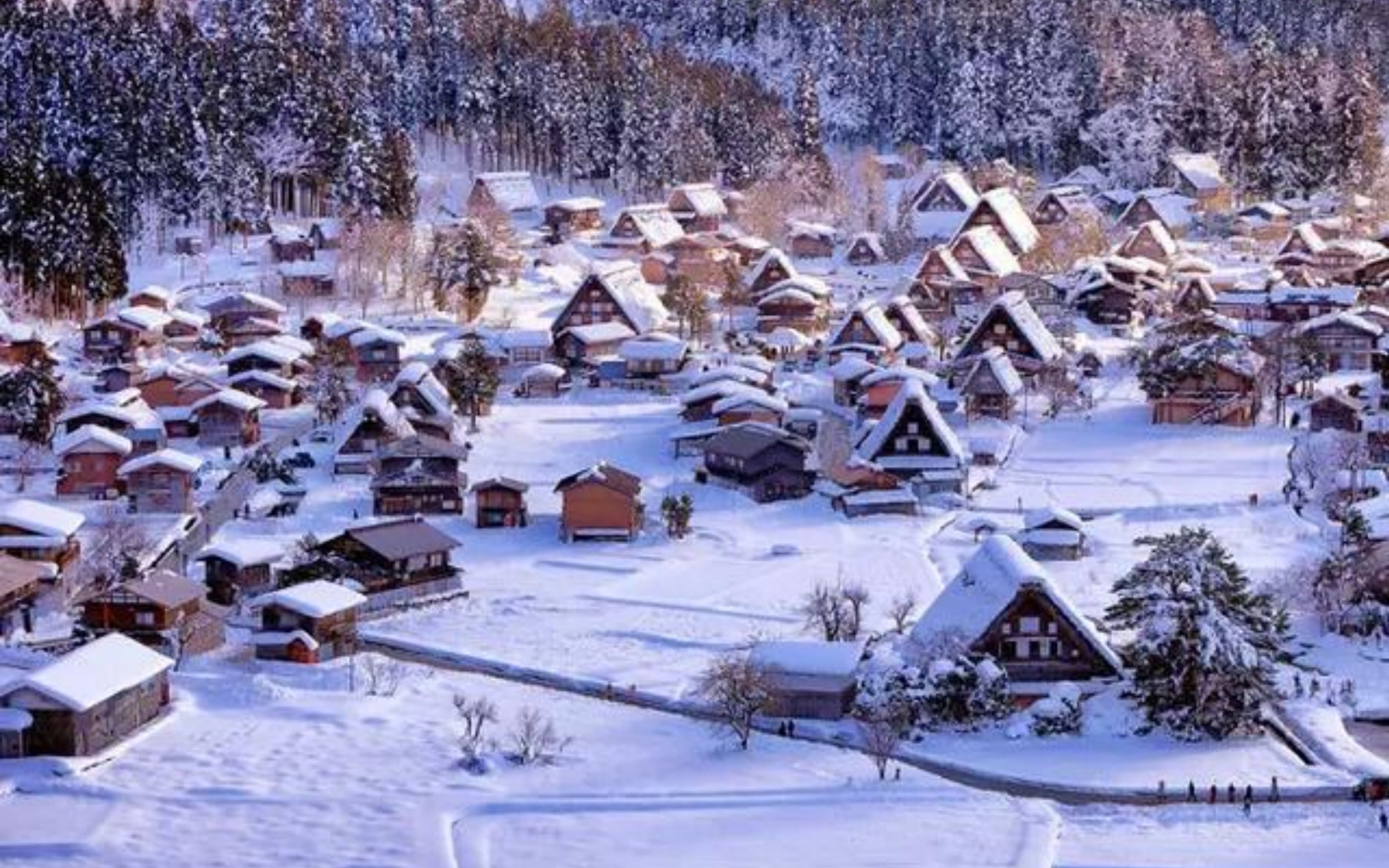 [Nagoya Shirakawa-go World Heritage Tour] One-Day Tour to Takayama & Shirakawa-go Gassho Village | Departure from Nagoya