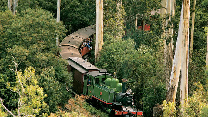 從墨爾本出發的普芬比利蒸汽火車 (Puffing Billy Steam Train) 之旅