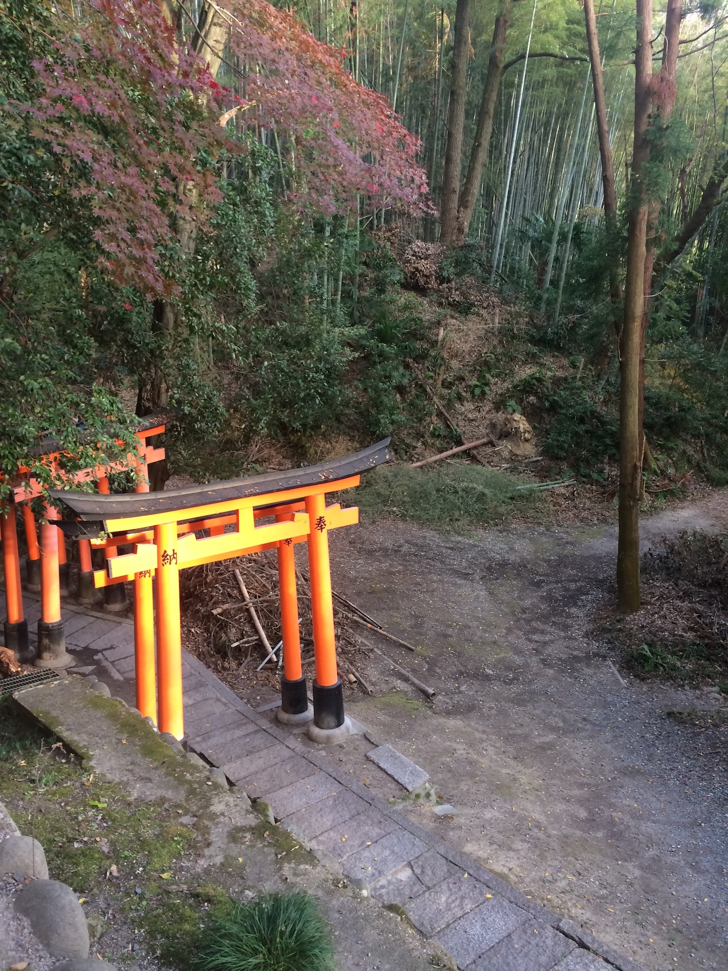 Kyoto: Immersive Arashiyama and Fushimi Inari by private vehicle