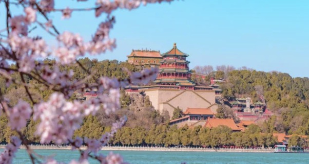【櫻花限定】北京頤和園+景山公園+北海公園+玉淵潭公園1日遊