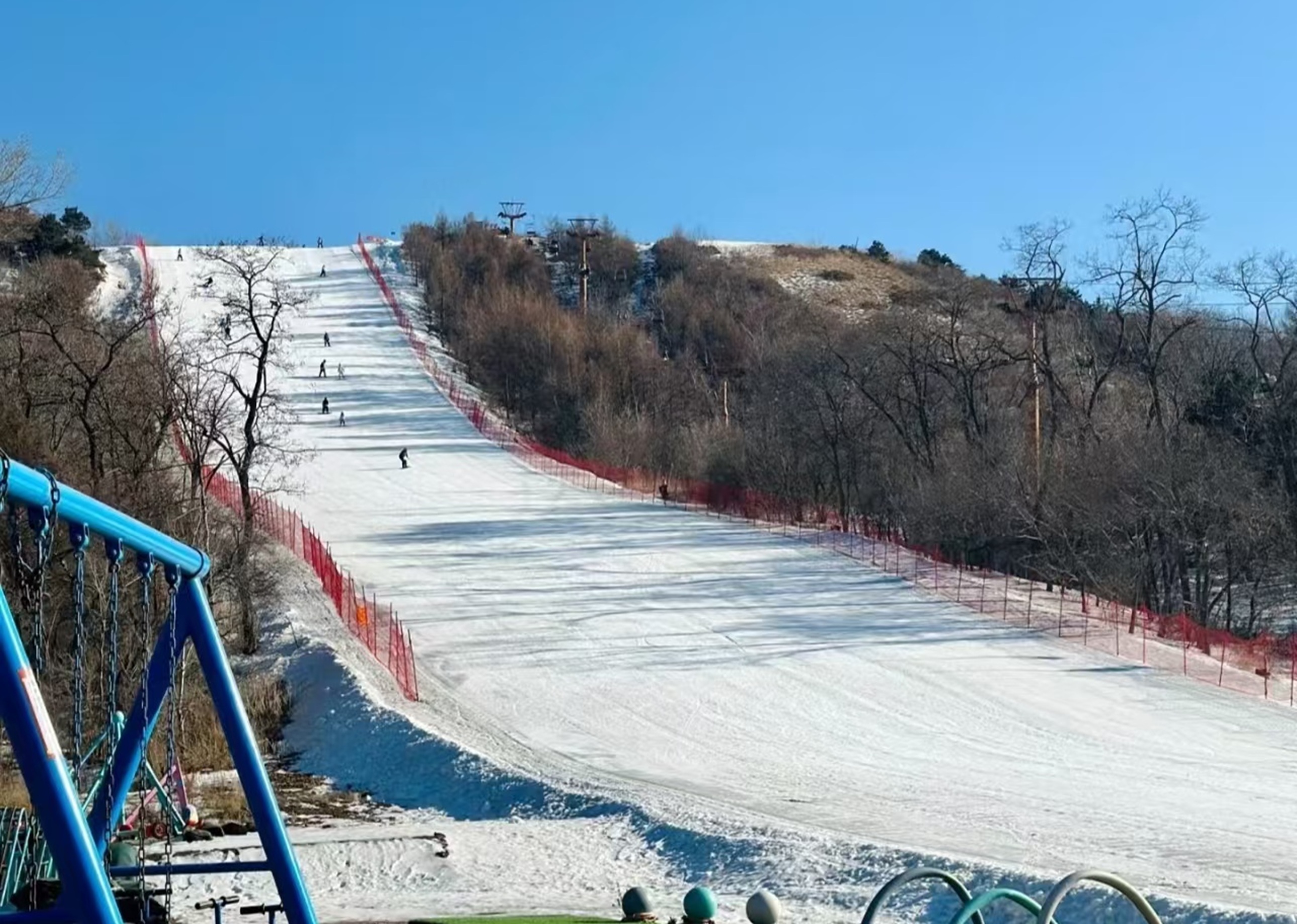 狹長雪道旁圍紅網，幾人分散滑行，坡側枯樹襯著淺雪，光線勾勒出雪道的流暢線條，氛圍舒展