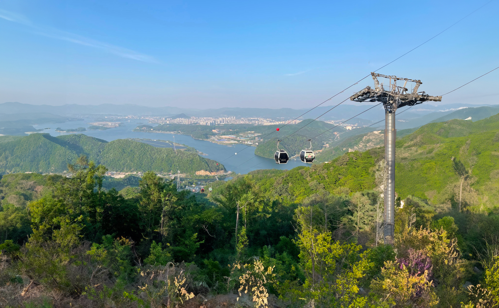 羊駝樂園 & 樂高樂園 & 南怡島 & 鐵路自行車 & 晨靜樹木園一日遊