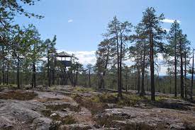 Vikakongas Hiking Experience
