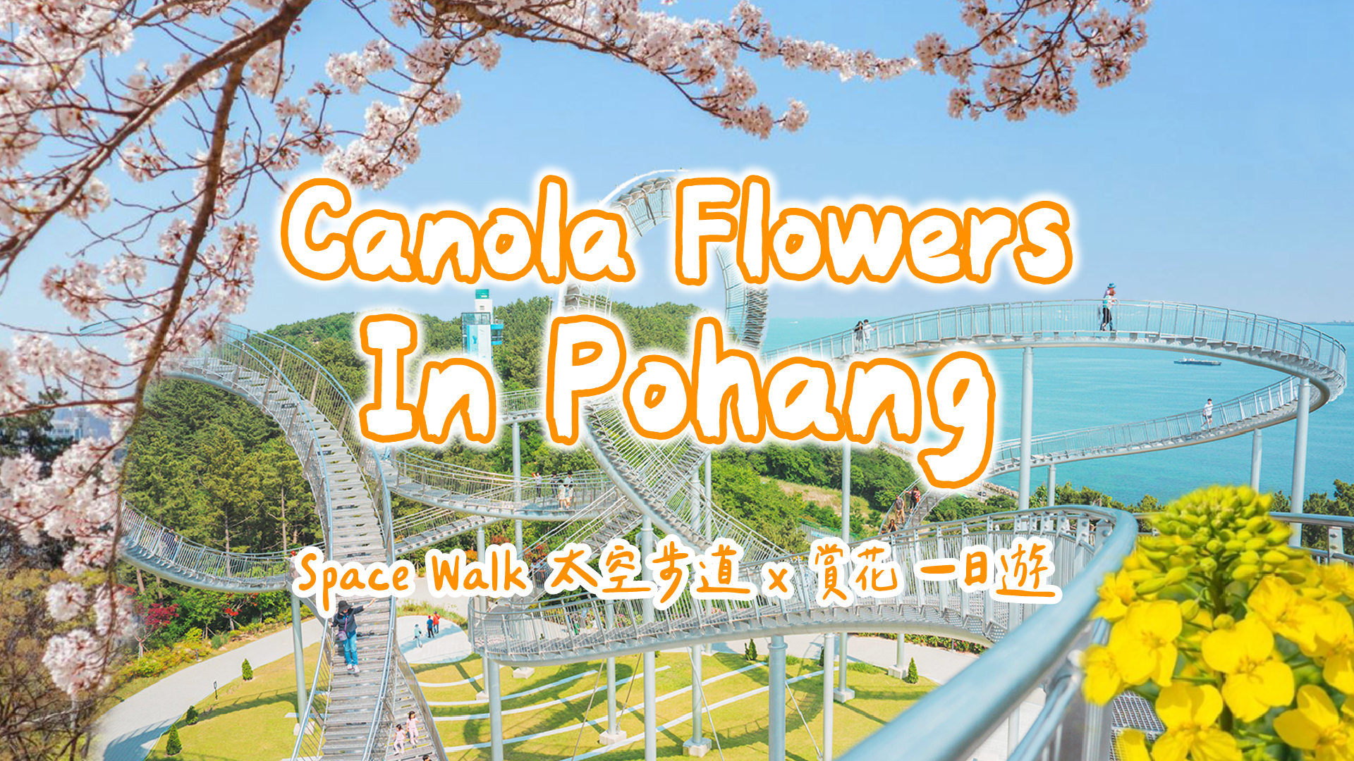 浦項Space Walk x 櫻花、九龍浦、虎尾岬油菜花