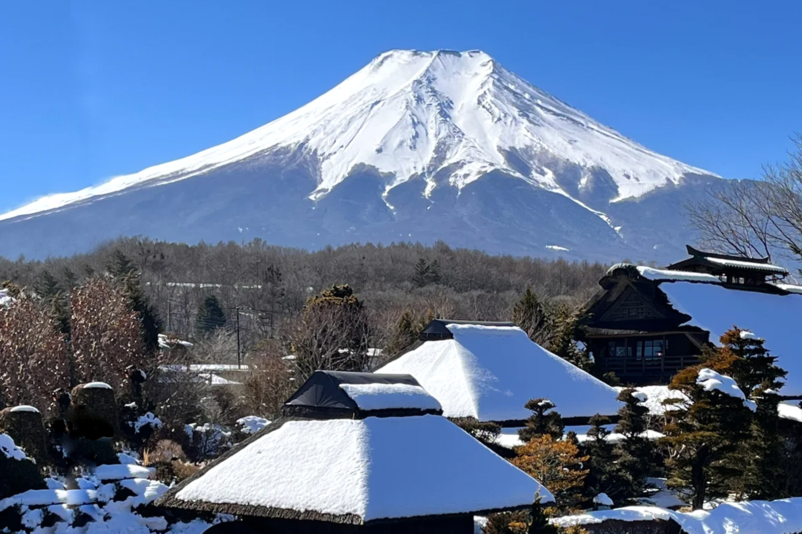 忍野八海:日本的“九寨溝”可以看到富士山八倒影的鏡池,這裡還保留了自江戶時代起的珍貴日本古建築。 忍野八海:日本的“九寨溝”可以看到富士山八倒影的鏡池,這裡還保留了自江戶時代起的珍貴日本古建築。