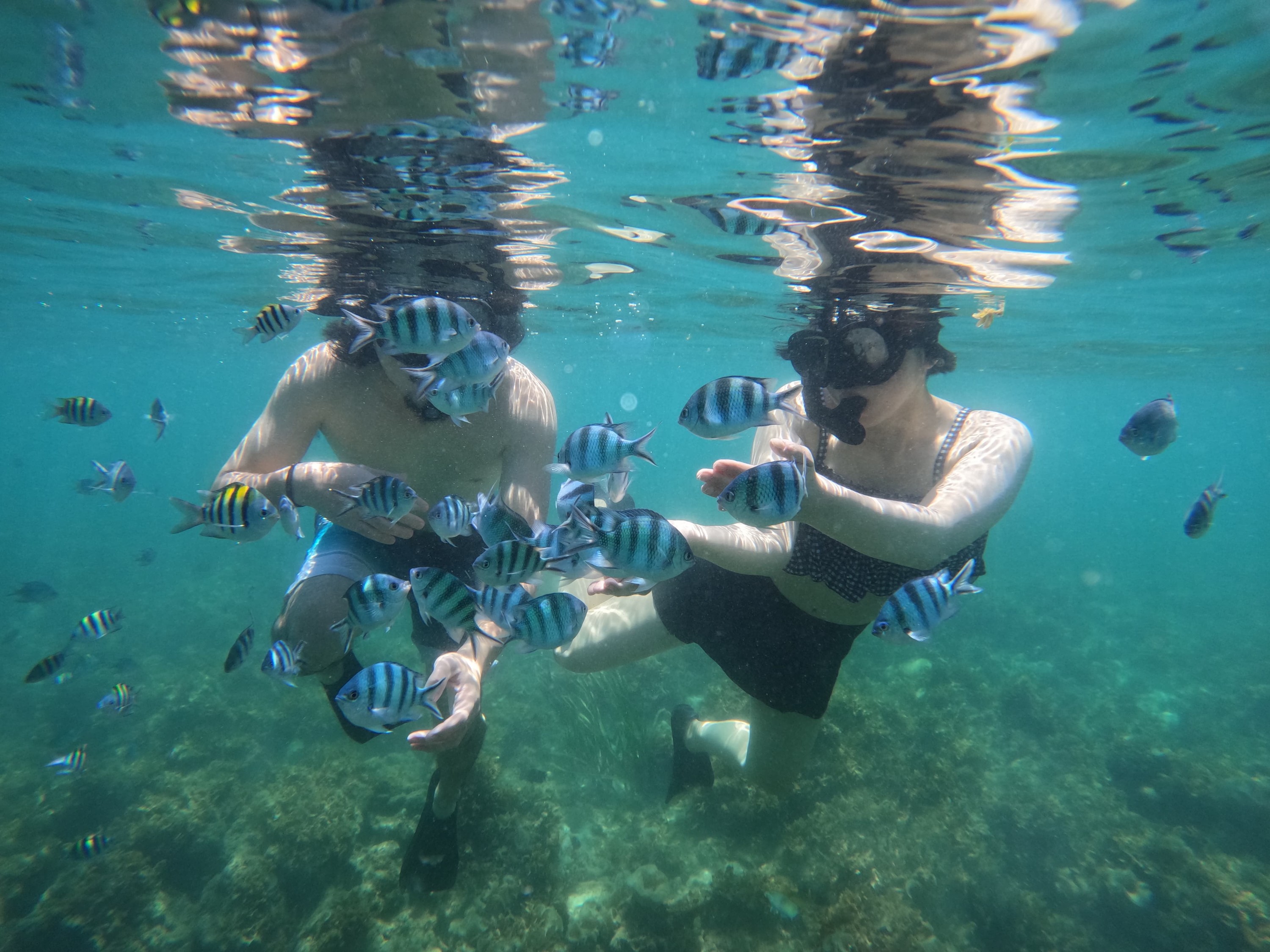 Bintan Fun Snorkling,Kayaking And Fishing Exprience 