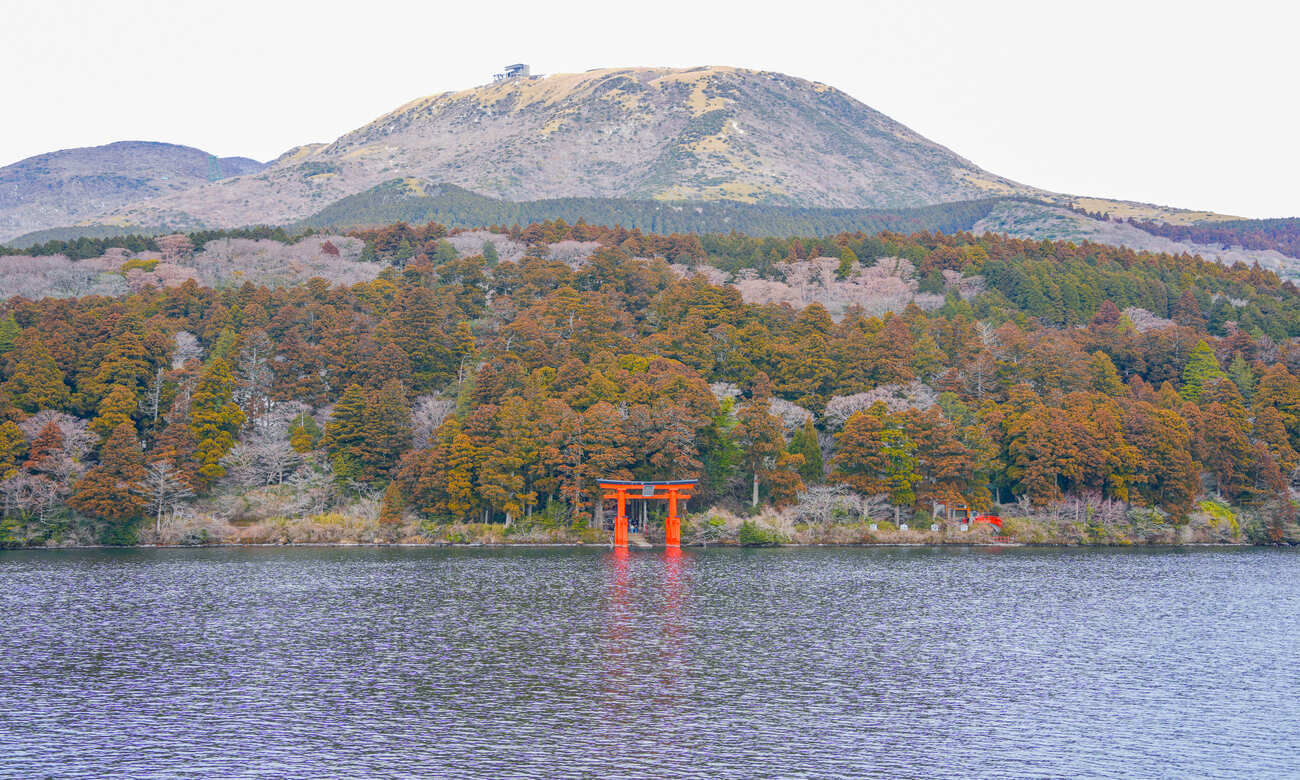 從東京出發：富士山、鎌倉、蘆之湖與忍野八海巴士之旅