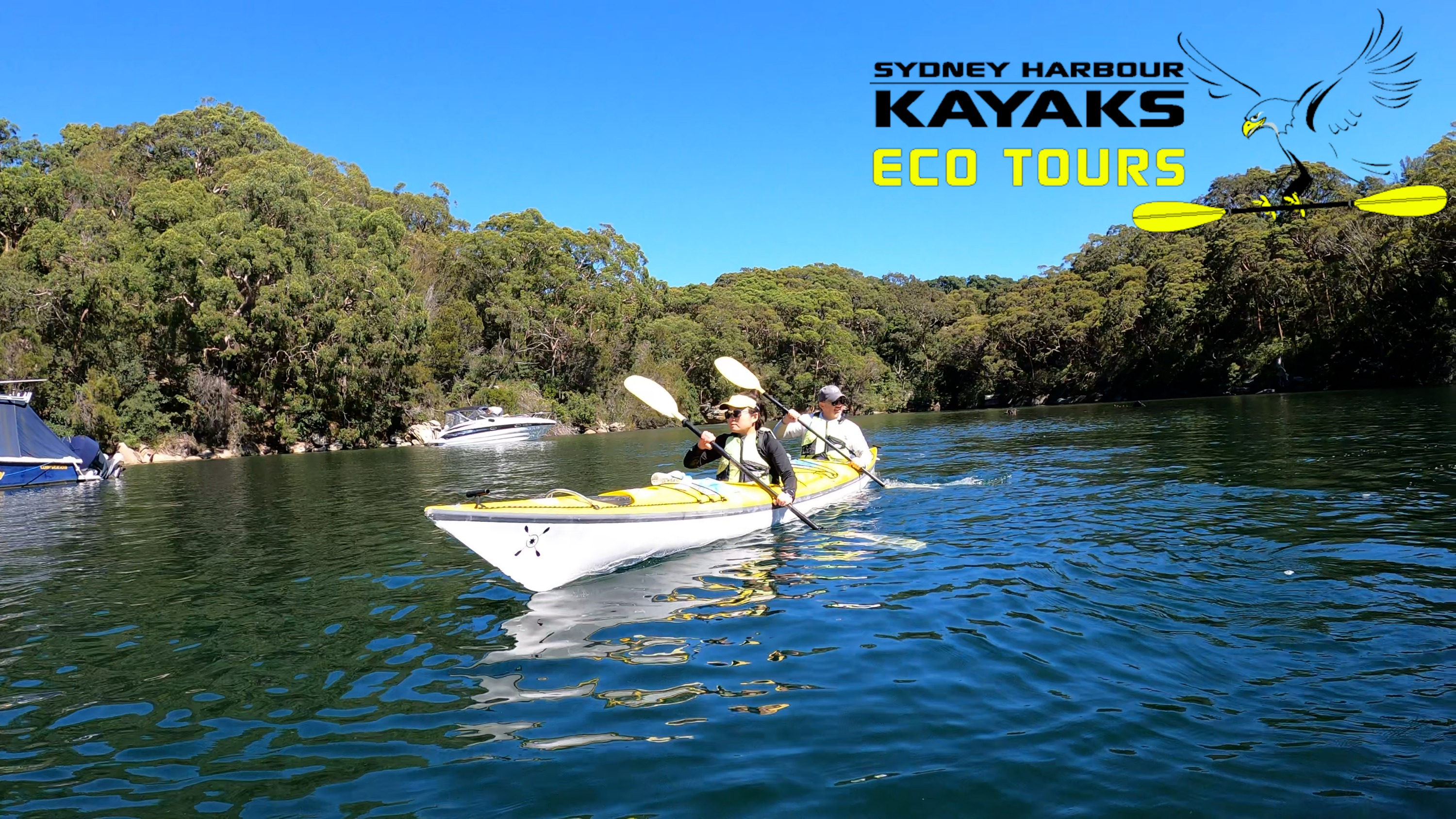 ミドルハーバー カヤックエコツアー（Sydney Harbour Kayaks提供）