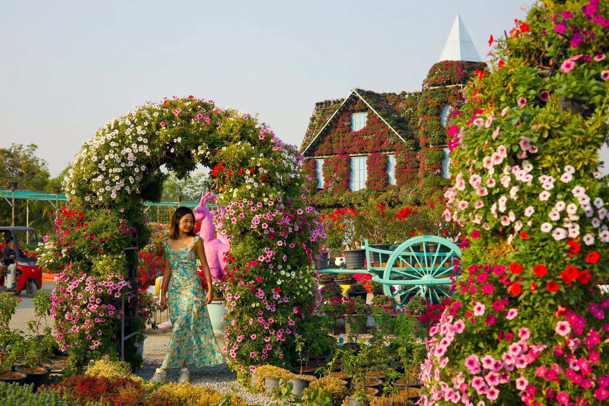 Nature Escape :Flower Garden, Aquarium , Ferris Wheel Ride Siem Reap