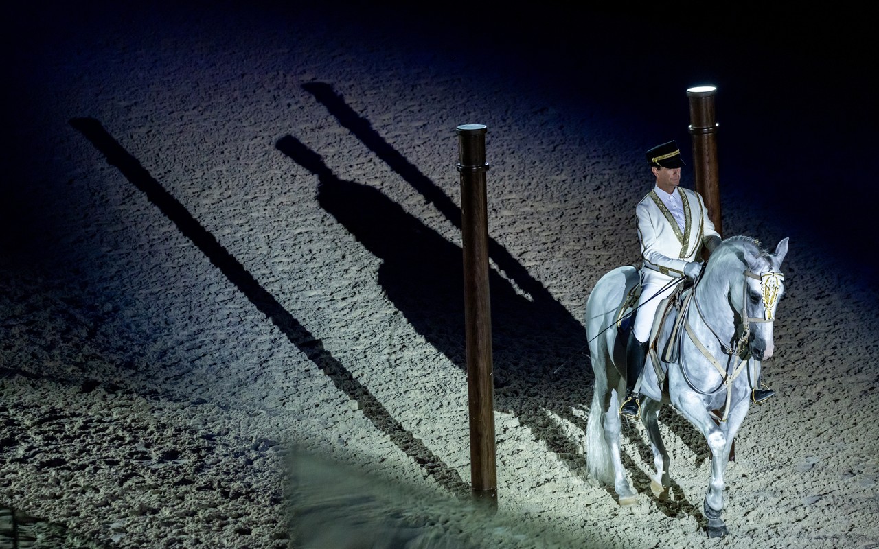 Marvel at the elegance and power of horse and rider under the arena lights