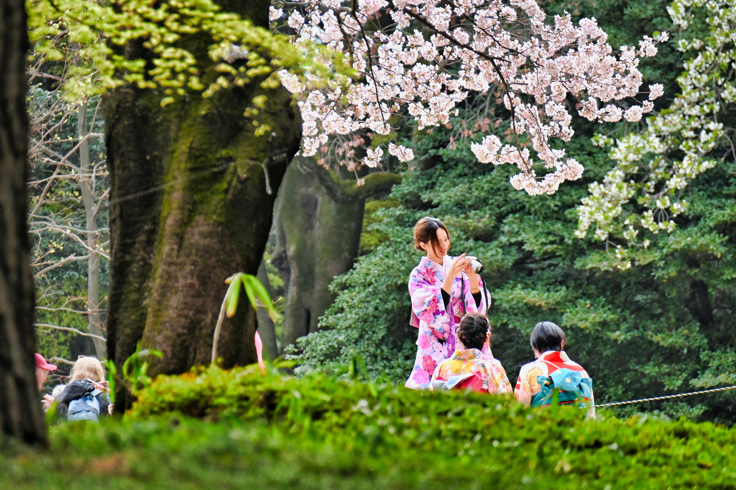 1 2 LIVE JAPAN 1-2-live-japan